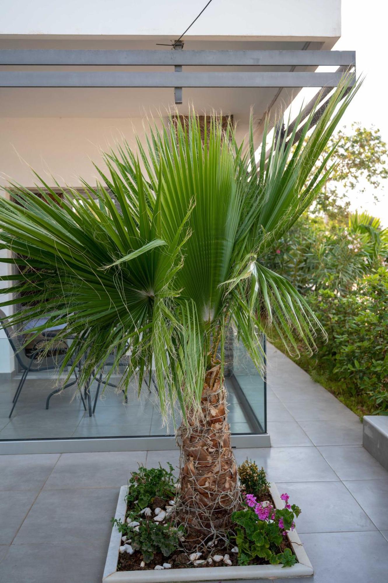 Appartement Finikas Suites&apartments *